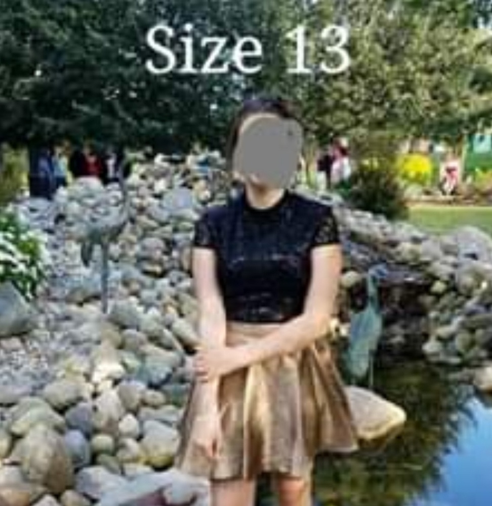 Hoco/Christmas dress